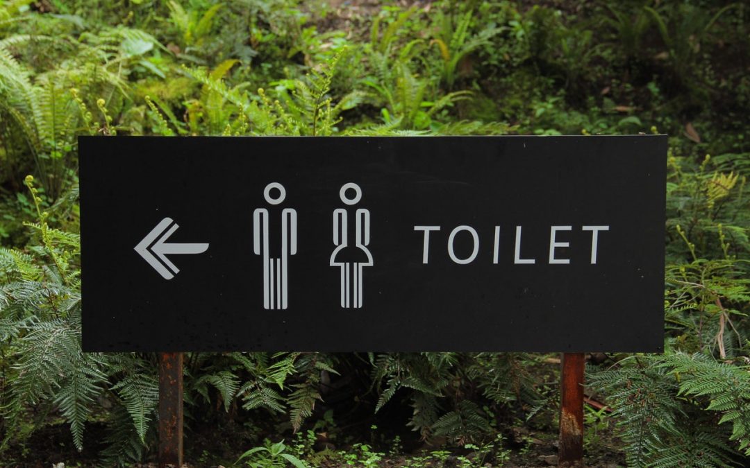 Public Toilets: To Sit Or To Hover?